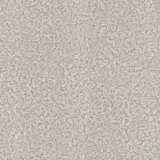 Dutch Wallcoverings Vliesbehang - Roberto Cavalli 8 - uni greige - 19027