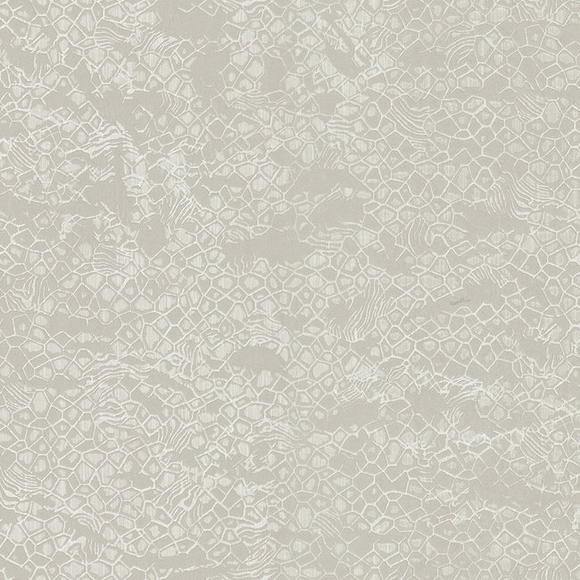 Dutch Wallcoverings Roberto Cavalli 8 - dessin beige - vliesbehang - 10m x 1,06m - 19038