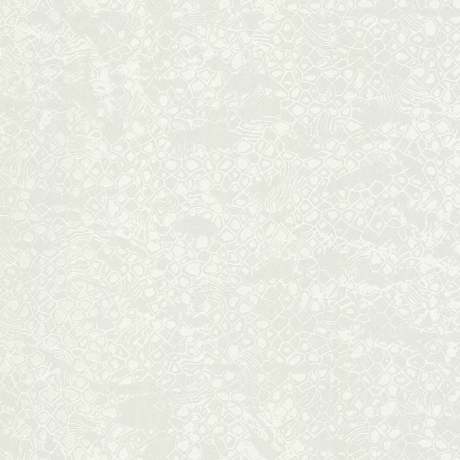 Dutch Wallcoverings Roberto Cavalli 8 - dessin wit - vliesbehang - 10m x 1,06m - 19039
