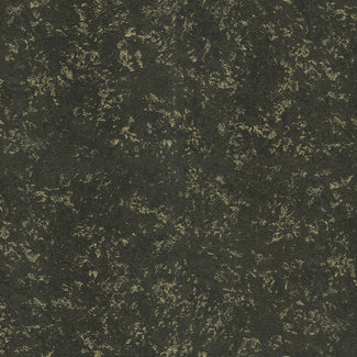 Dutch Wallcoverings Roberto Cavalli 8 - uni zwart/goud - 19054