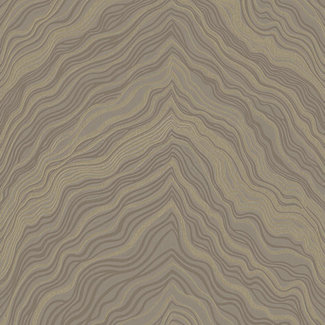 Dutch Wallcoverings FC Thom dessin beige - TH9302