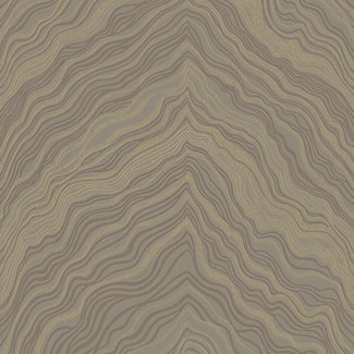 Dutch Wallcoverings Vliesbehang - FC Thom dessin beige - TH9302