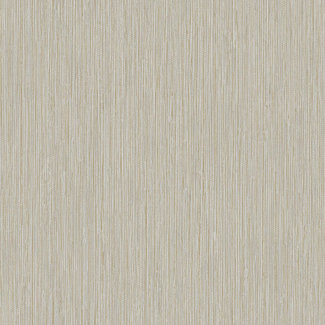 Dutch Wallcoverings Vliesbehang - FC Thom uni beige - TH9415