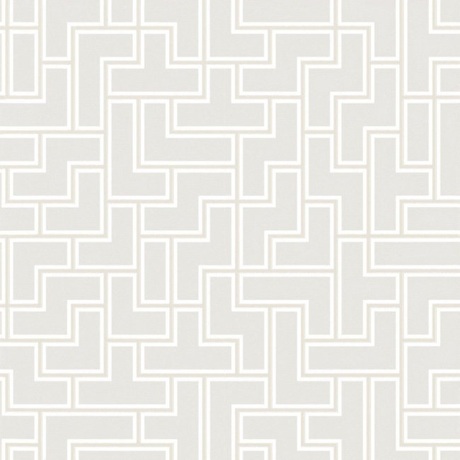 Dutch Wallcoverings FC Thom dessin wit - vliesbehang - 10m x 53cm - TH9701