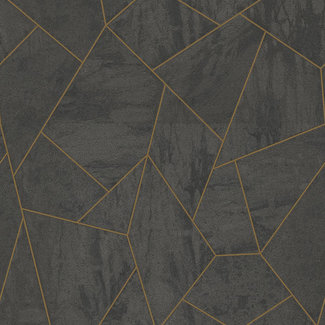 Dutch Wallcoverings Vliesbehang - FC Thom dessin zwart - TH9809