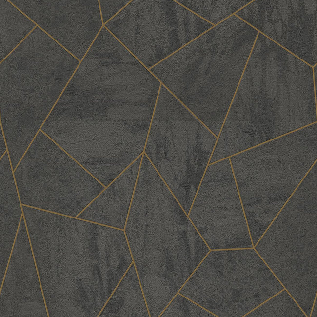 Dutch Wallcoverings FC Thom dessin zwart - vliesbehang - 10m x 53cm - TH9809