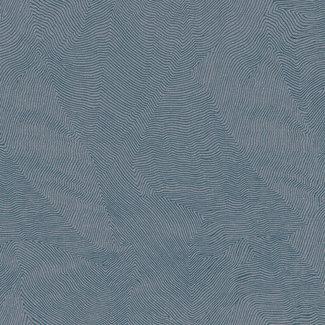 Dutch Wallcoverings FC Thom dessin blauw - TH9909