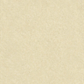 Dutch Wallcoverings FC Walter uni beige - WA2402