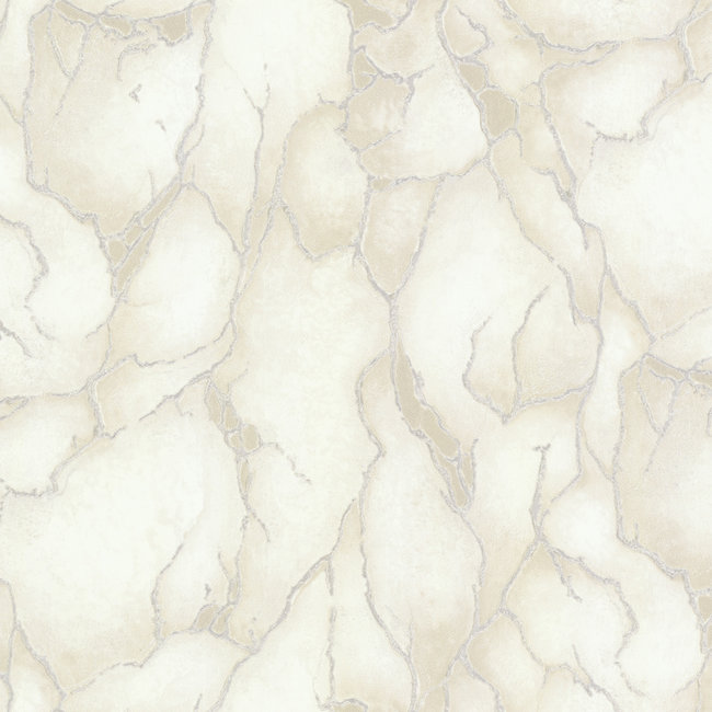 Dutch Wallcoverings FC Yudashkin 5 - vliesbehang - 10m x 1.06m - 86026