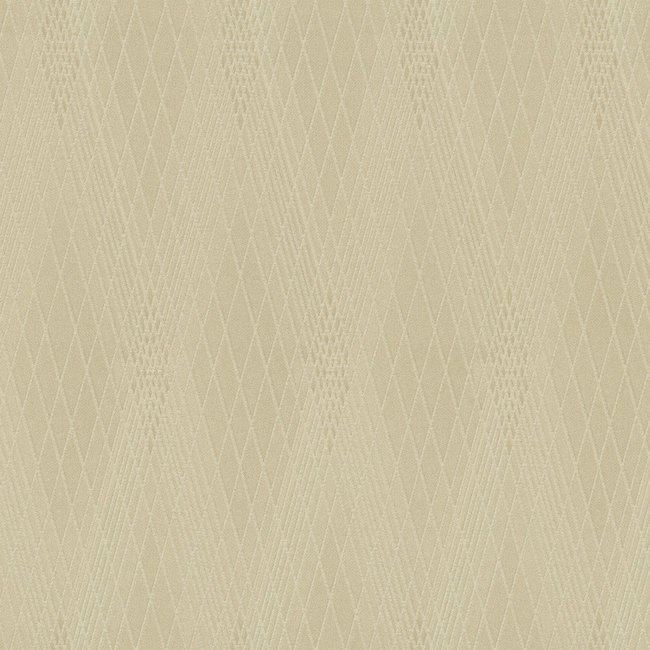 Dutch Wallcoverings Duch Wallcoverings - FC Gianfranco Ferre 3 10x1,06m - vliesbehang - 62082