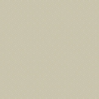 Dutch Wallcoverings Dutch Wallcoverings - FC Nouvel dessin beige - NO7125