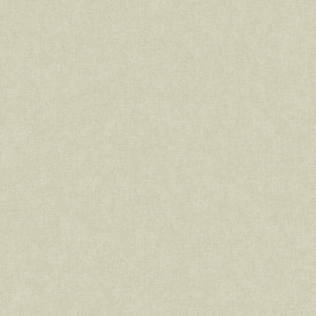 Dutch Wallcoverings Duch Wallcoverings - FC Sauvage uni lichtgroen - vliesbehang - 10m x 53cm - KT10136