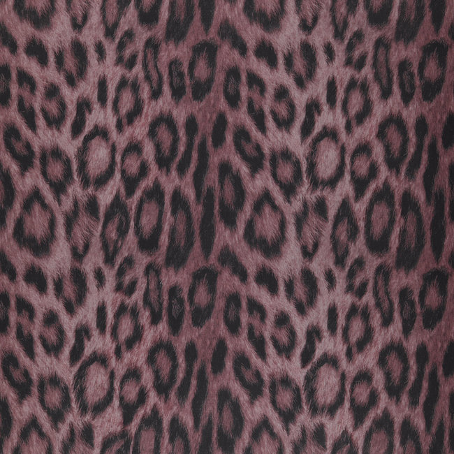 Dutch Wallcoverings FC Jungle Club Panthera 35-Amor - papierbehang - 10m x 53cm