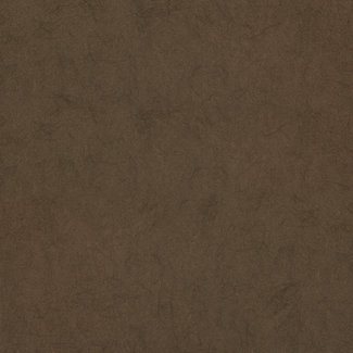 Dutch Wallcoverings Vliesbehang - FC Chroma 14-Pinecone