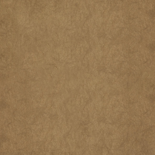 Dutch Wallcoverings FC Chroma 33-Harvest - vliesbehang - 10m x 53cm