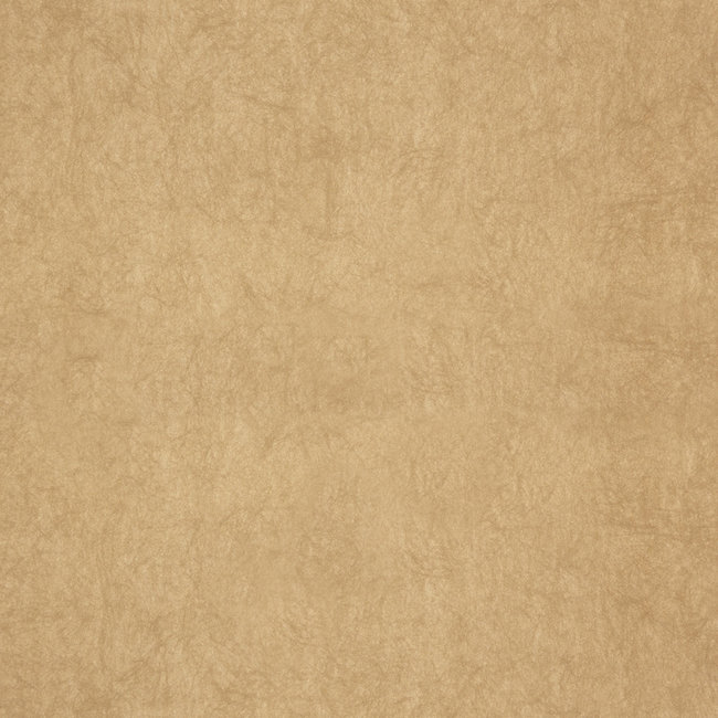 Dutch Wallcoverings FC Chroma 36-Fawn - vliesbehang - 10m x 53cm