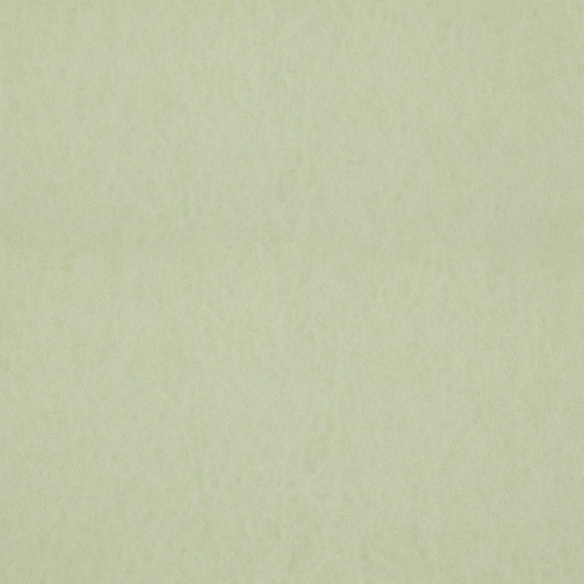 Dutch Wallcoverings FC Chroma 57-Spring- vliesbehang - 10m x 53cm