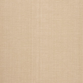 Dutch Wallcoverings FC Murals Topo 41-Caramel