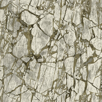 Dutch Wallcoverings Vliesbehang - FC Carrara 3 10mx106cm - 84603 Dutch Wallcoverings Vliesbehang - FC Carrara 3 10mx106cm - 84603