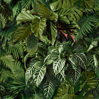 Dutch Wallcoverings Dutch Wallcoverings - Ciara- Living Wall bladeren groen - A58601