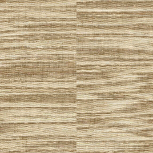 Dutch Wallcoverings Dutch Wallcoverings - Ciara- Java beige - vliesbehang - 10m x 53cm - A62902