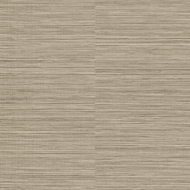 Dutch Wallcoverings Dutch Wallcoverings - Ciara- Java beige - vliesbehang - 10m x 53cm - A62903