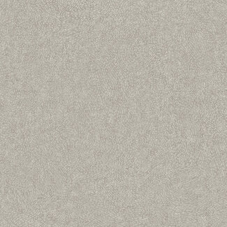 Dutch Wallcoverings Vliesbehang - Attitude- uni Santiago greige - A67003