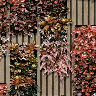 Dutch Wallcoverings Vliesbehang - Artifice- planken/planten bei/bruin - M794-10