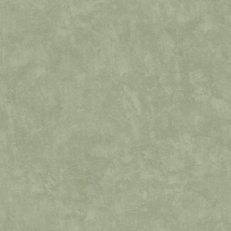 Dutch Wallcoverings Dutch Wallcoverings - Artifice- uni groen - M796-04