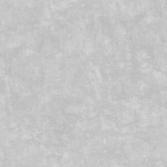 Dutch Wallcoverings Vliesbehang - Artifice/Brut- uni grijs - M796-29