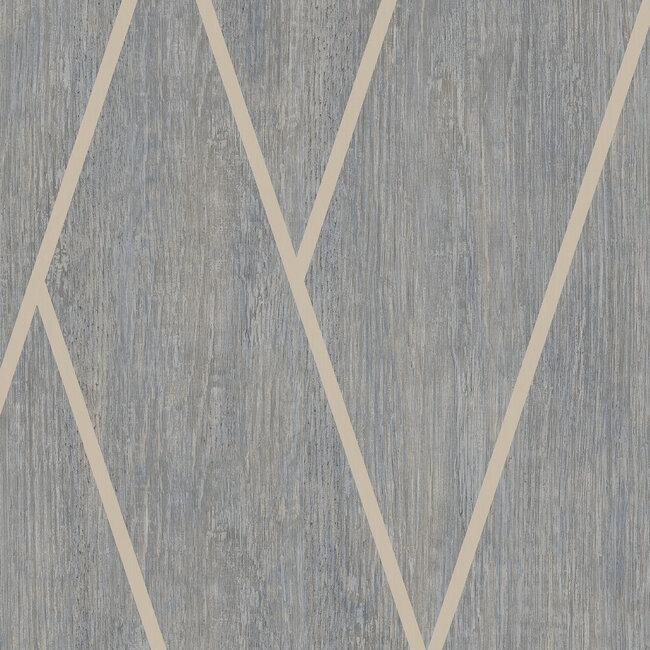 Dutch Wallcoverings Dutch Wallcoverings - Brut- hout/visgraat grijs - Vliesbehang - 10m x 53cm - M757-09