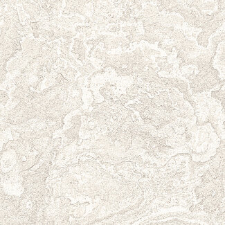 Dutch Wallcoverings Dutch Wallcoverings - Exclusive Threads Marble Cloud Whit - TP422981