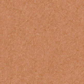 Dutch Wallcoverings Dutch Wallcoverings - Tapestry Linen Plain Orange - TP422904