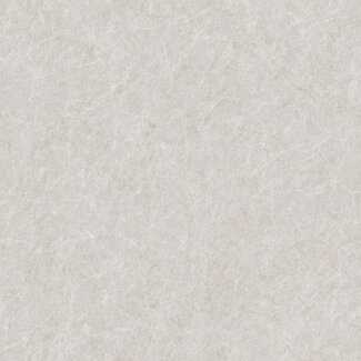 Dutch Wallcoverings Dutch Wallcoverings - Tapestry Linen Plain Light Grey - TP422905