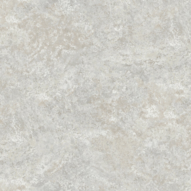 Dutch Wallcoverings Dutch Wallcoverings - Venezia- Pierre l.grijs glitter 106cm - Vliesbehang - 10m x 53cm - M667-99D