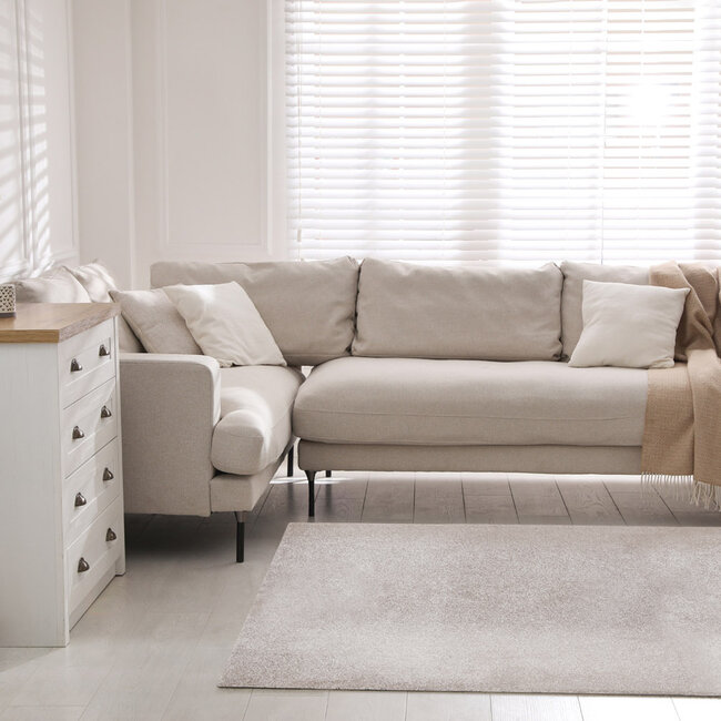 Dutch Lifestyle Debby Lightbeige - Polypropyleen - Vloerkleed - Beige