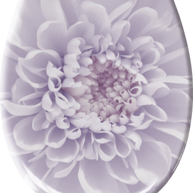 Kleine Wolke Kleine Wolke wc bril Dahlia 37x45 cm (paars)