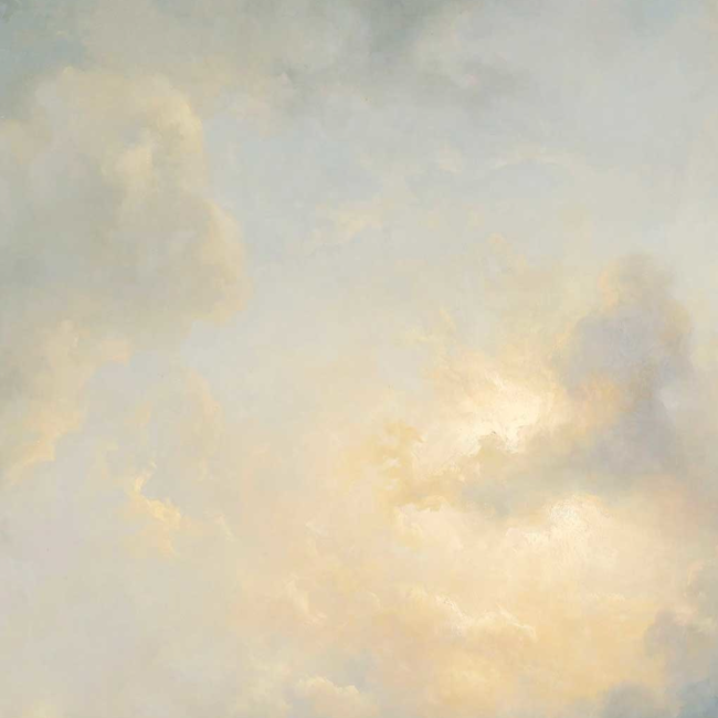 Dutch Wallcoverings Dutch Wallcoverings - Golden Age Clouds - 348x248cm - Fotobehang - Vliesbehang