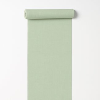 Dutch Wallcoverings Vliesbehang - Arcadia- uni Solena lichtgroen - A71008