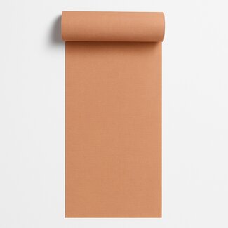 Dutch Wallcoverings Vliesbehang - Arcadia- uni Solena terra - A71010