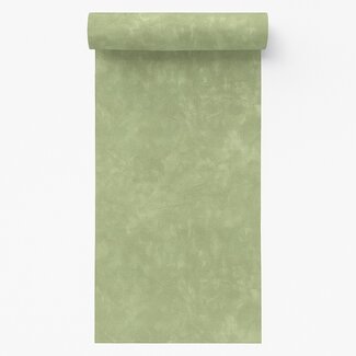 Dutch Wallcoverings Vliesbehang - Artifice- uni groen - M796-04