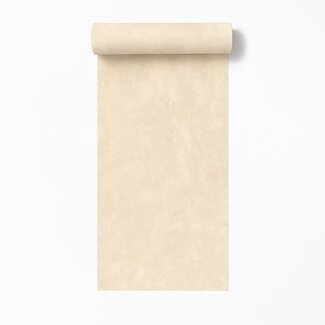 Dutch Wallcoverings Vliesbehang - Artifice/Brut- uni beige - M796-07