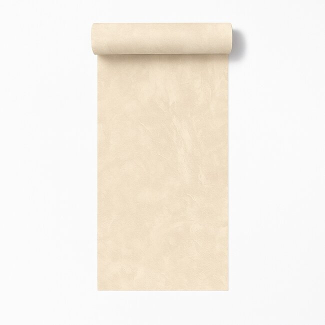 Dutch Wallcoverings Dutch Wallcoverings - Artifice/Brut- uni beige - Vliesbehang - 10m x 53cm - M796-07