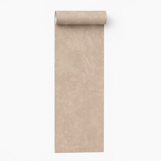 Dutch Wallcoverings Vliesbehang - Artifice/Brut- uni beige - M796-08