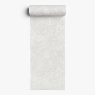Dutch Wallcoverings Vliesbehang - Artifice/Brut- uni grijs - M796-09