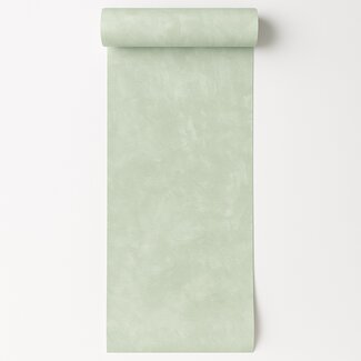 Dutch Wallcoverings Vliesbehang - Artifice- uni lichtgroen - M796-14