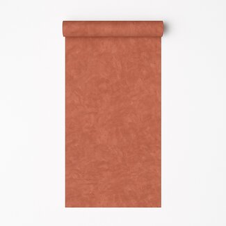 Dutch Wallcoverings Vliesbehang - Artifice/Brut- uni terra - M796-15