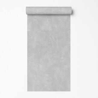 Dutch Wallcoverings Vliesbehang - Artifice/Brut- uni grijs - M796-29