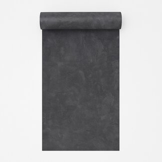 Dutch Wallcoverings Vliesbehang - Artifice/Brut- uni zwart - M796-39