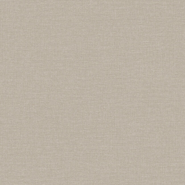 Dutch Wallcoverings Dutch Wallcoverings - Linen & Textures - uni taupe - Vliesbehang - 10m x 53cm - LT10003